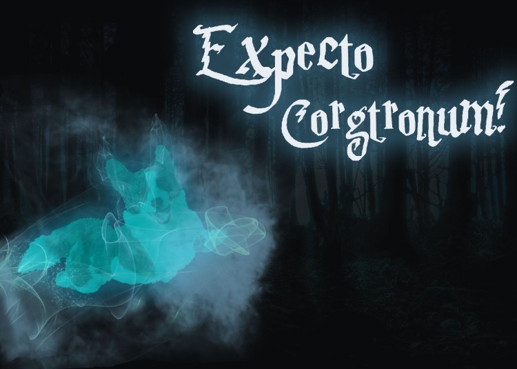 Patronus 1